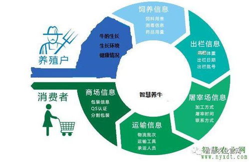智慧農(nóng)業(yè)新篇章 物聯(lián)網(wǎng)智慧養(yǎng)牛系統(tǒng)的軟件開發(fā)與應用